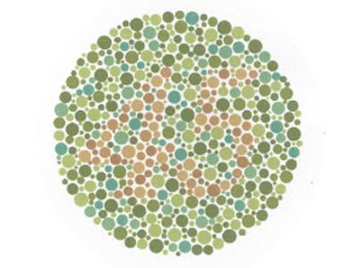 circle of colored dots, with the number 45 visible in the center.