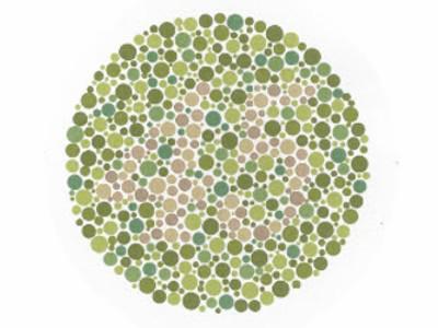 circle of colored dots, with the number 45 visible in the center.