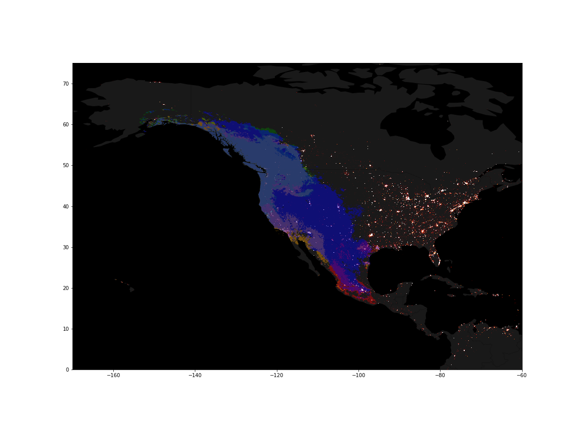 satellite view of north america at night superimposed with the Rufous Hummingbird data.