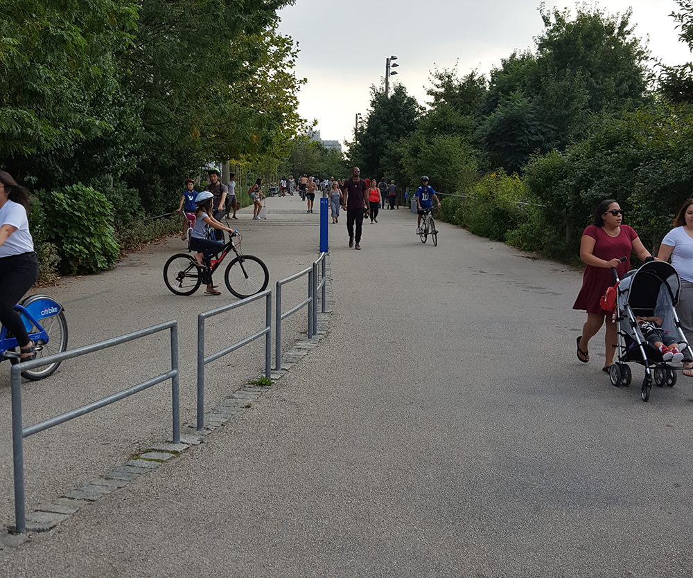 bike and pedestrian path in park with trees to the right and left and a metal fence going down the center. A small blue post delineates which side of the path is for bikes and which side is for people.