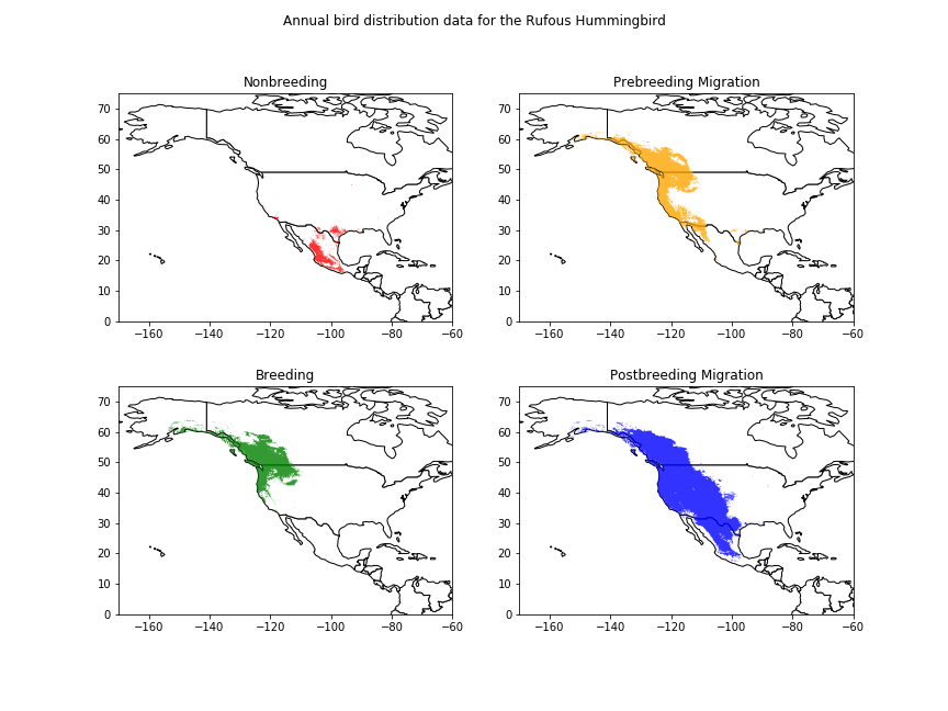four maps of north america showing teritories of the Rufous Hummingbird at 4 times of the year. During the breeding time they are in the north west and in the non-breeding time they are in Mexico. Inbetween those times they are spread out between the two areas.